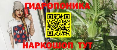 молекула духа Кулебаки