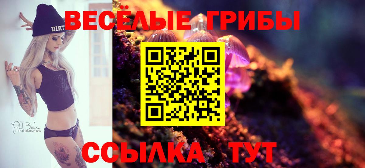 Котовск  Псилоцибиновые грибы мухоморы  Вход с VPN  Галлюциногенные грибы ЛСД 